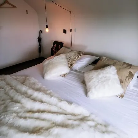 公寓 Oh Deer! Vaux-sur-Sure