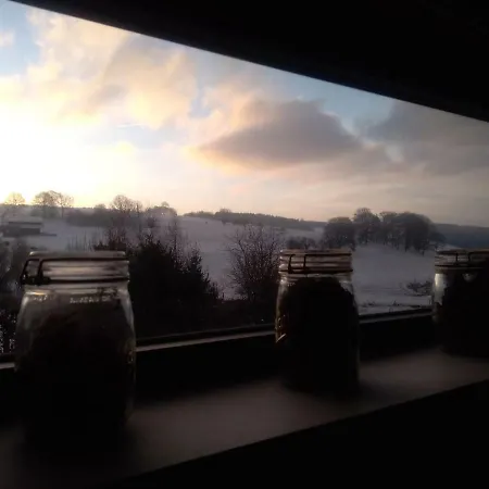 Oh Deer! Apartment *