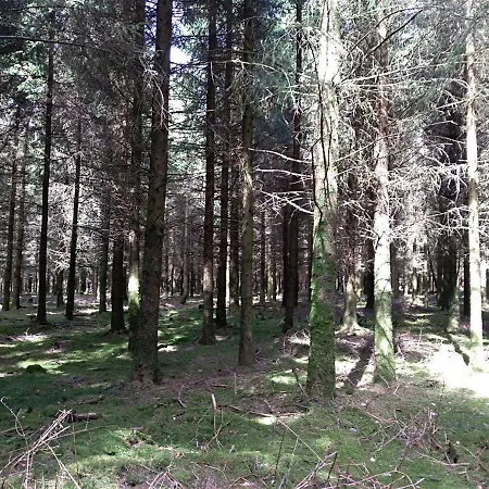 Oh Deer! * Vaux-sur-Sure