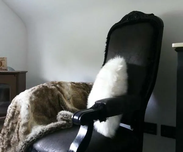 Oh Deer! Vaux-sur-Sure